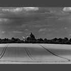 black and white photo of Bourn Windmill across wheatfields