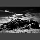 black and white photo of a muck heap near Waresley