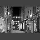 night view of Rose Crescent Christmas Lights