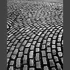 black and white photo of Cobblestones at the Sidgwick Site