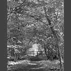 black and white photo of entrance to Waresley Wood
