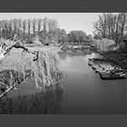 black and white photo of Trinity Bridge over the River Cam