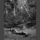 black and white photo of storm damage in Waresley and Gransden Woods